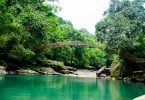 Bamboo Bridge Meghalaya